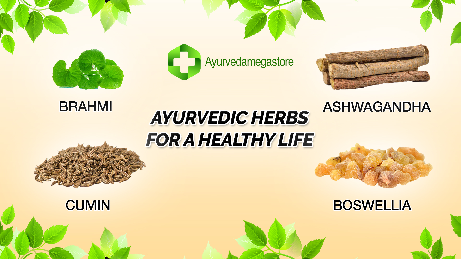 Ayurveda’s Secret For A Long And Healthy Life